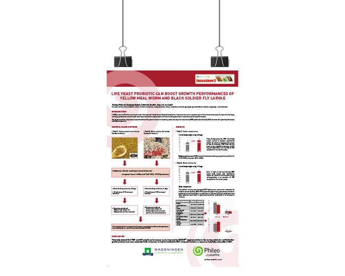 insects scientific poster