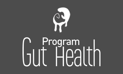 gut health swine