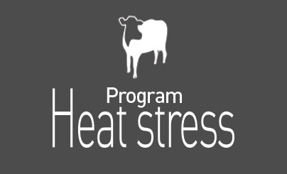 Program Heat stress dairy cow