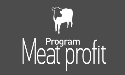 Meat profit beef cattle