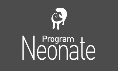 Program Neonate phileo