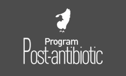 post antibiotic broilers