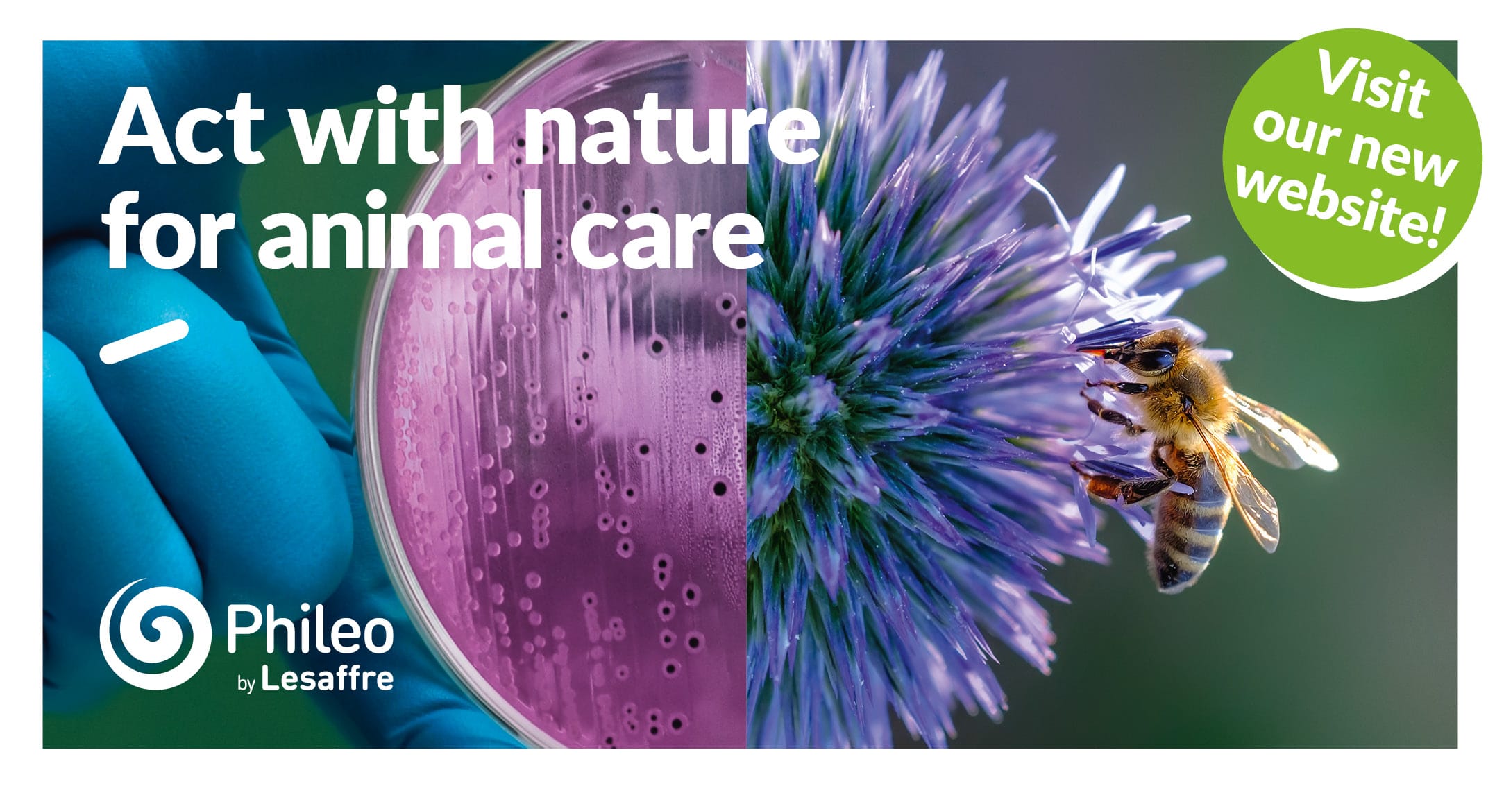 Phileo by lesaffre • Act with nature for animal care