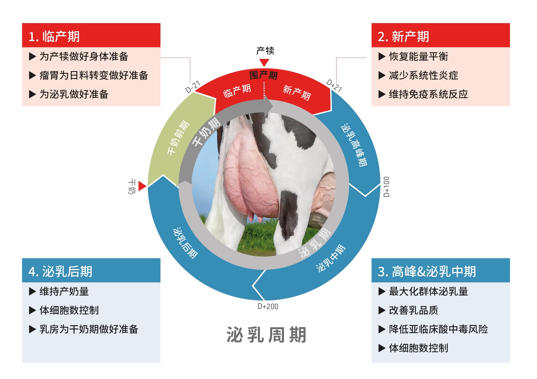 ELISA系列ㅣ多肽激素---泌乳素（PRL） - 知乎