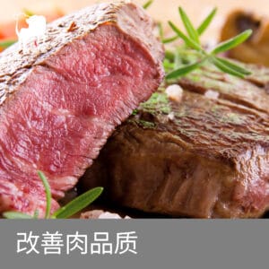 肉牛肉品质不达标怎么办?