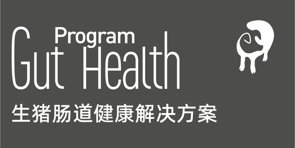 生猪肠道健康解决方案