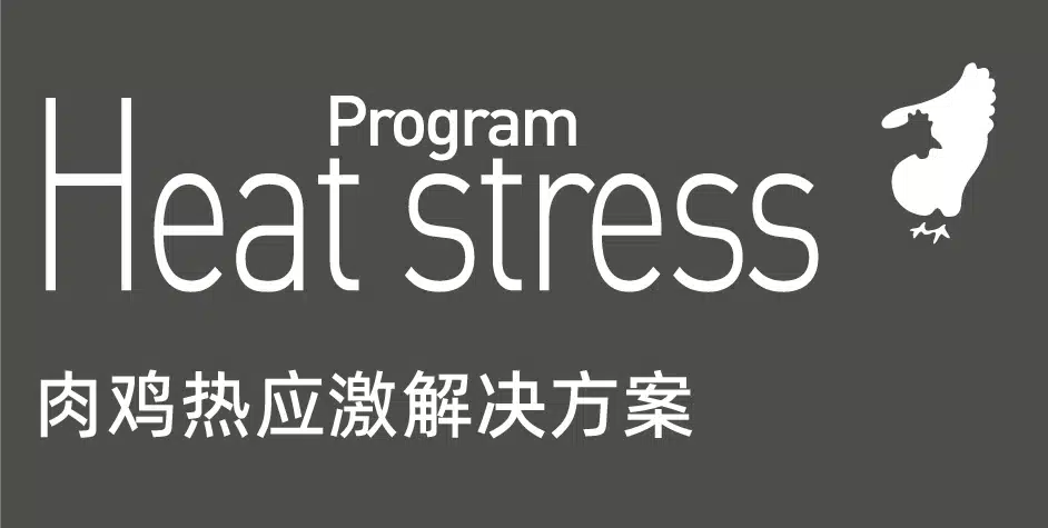 肉鸡热应激解决方案