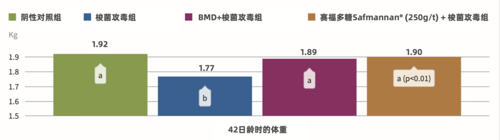 试验第42天的体重