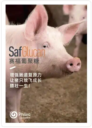 产品手册-赛福葡聚糖-猪-胞内劳森菌