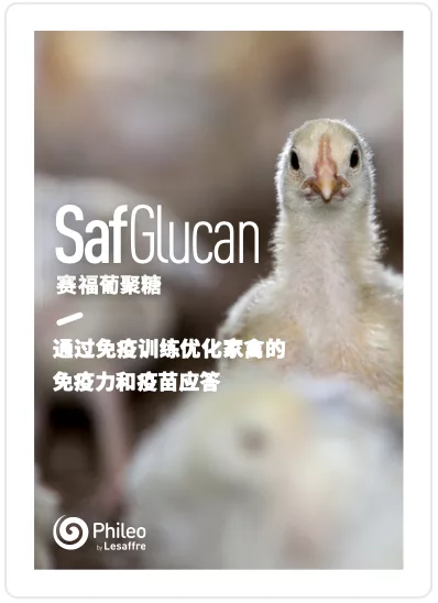 产品手册-赛福葡聚糖Safglucan-家禽