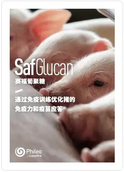 产品手册-赛福葡聚糖Safglucan-猪