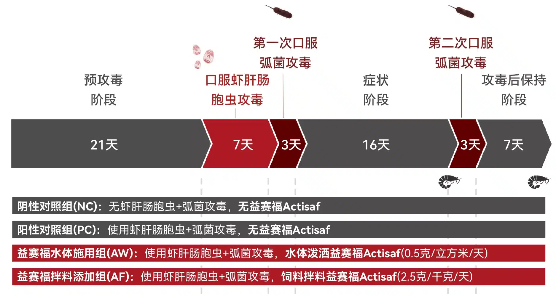 试验操作时间线