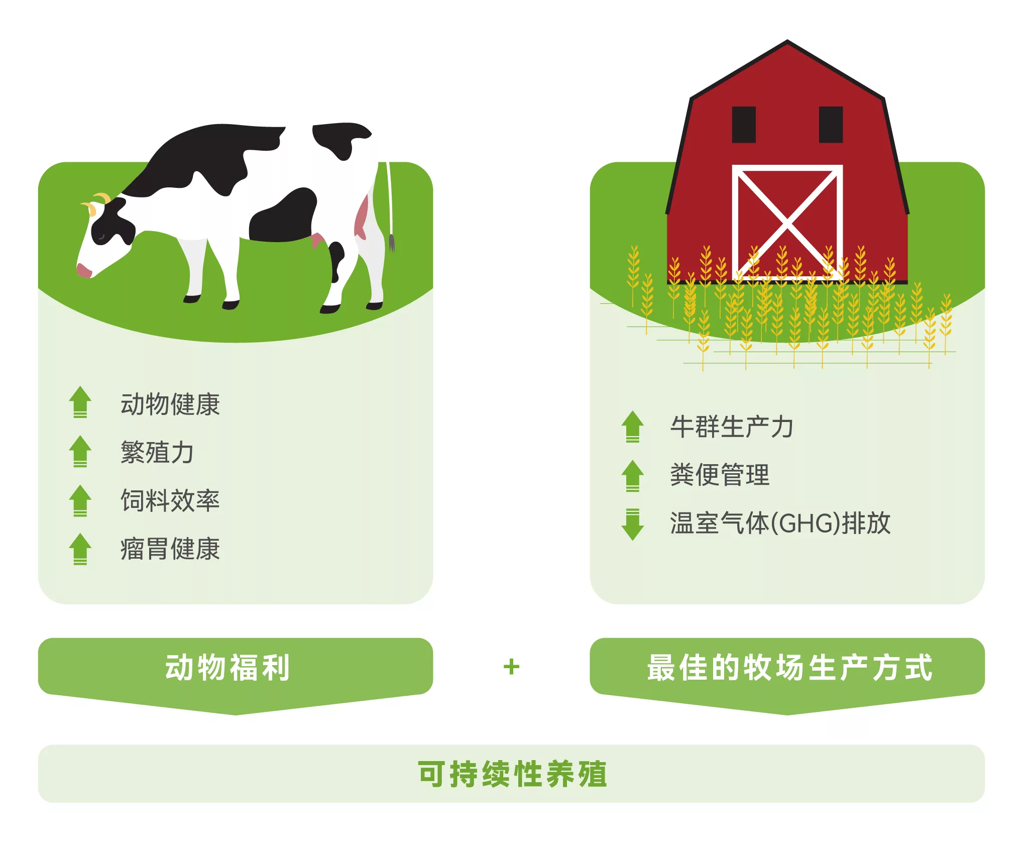 可持续养殖是动物福利与最佳牧场生产方式的结合