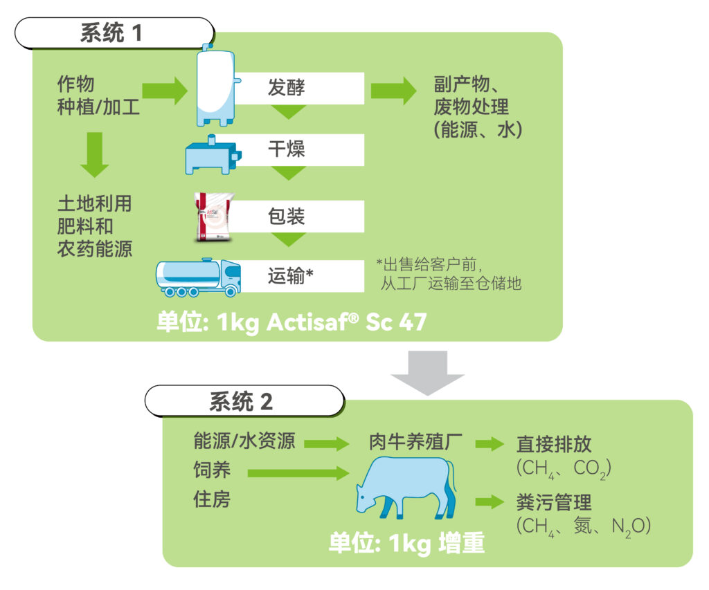 可持续肉牛养殖：酵母益生菌驱动肉牛养殖低碳未来 • Phileo乐斯福动物营养与健康