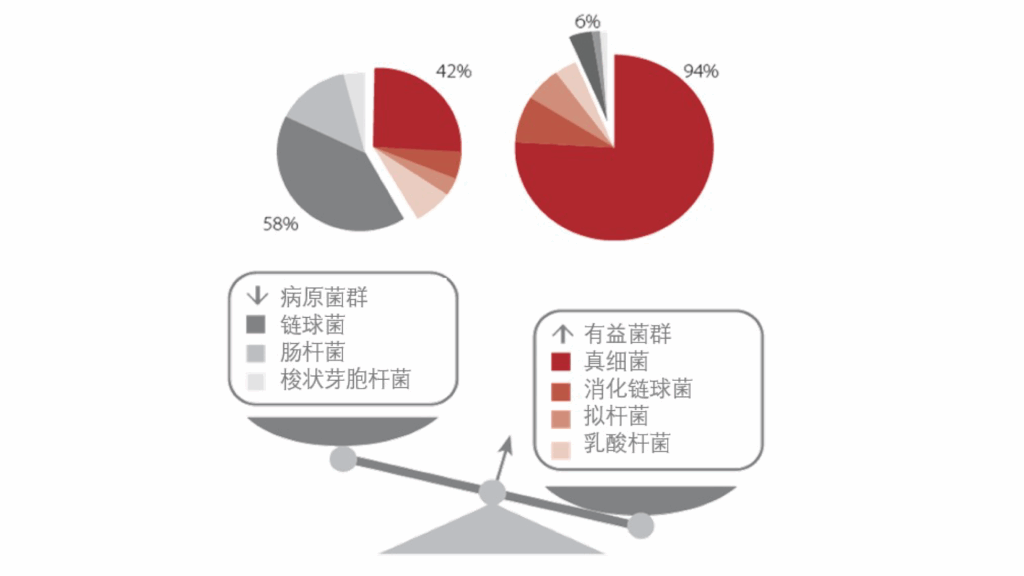 益赛福对仔猪肠道中有益菌和有害菌的影响