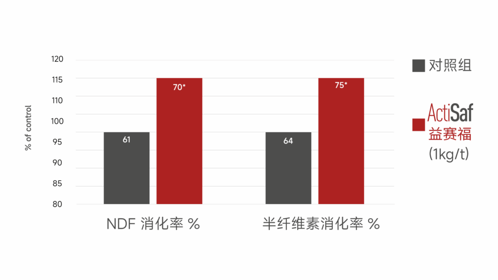益赛福提高仔猪日粮中的饲料效率