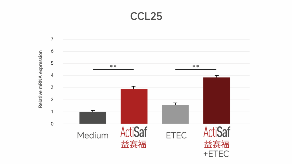 益赛福对CCL25表达的影响