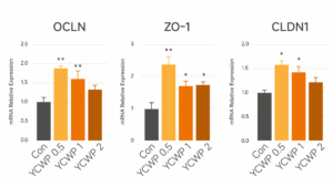 OCLN、ZO-1、CLDN1基因表达对比