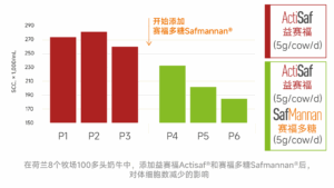 益赛福和赛福多糖降低奶牛体细胞数提升乳房健康研究数据