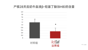 益赛福Actisaf对产犊后奶牛血液中β-羟基丁酸的影响