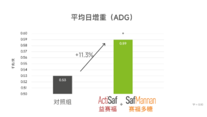 益赛福Actisaf与 赛福多糖Safmannan 组合对肉牛平均日增重 ADG 的影响